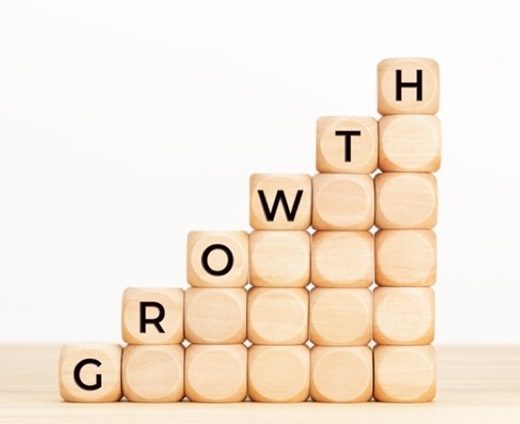 blocks for growth